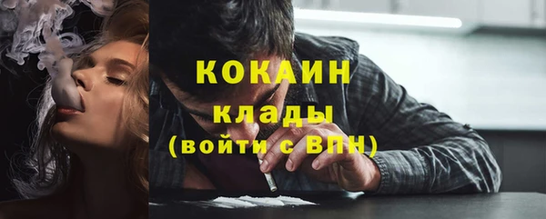 шишки Вязьма