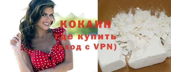 шишки Вязьма