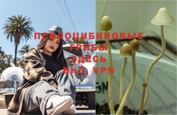 шишки Вязьма
