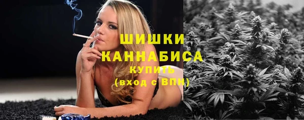 шишки Вязьма