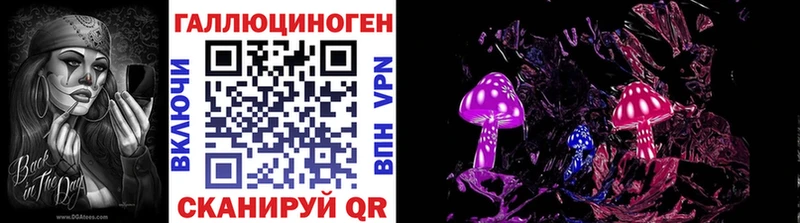 наркошоп  Майкоп  OMG ССЫЛКА  Псилоцибиновые грибы Psilocybe 